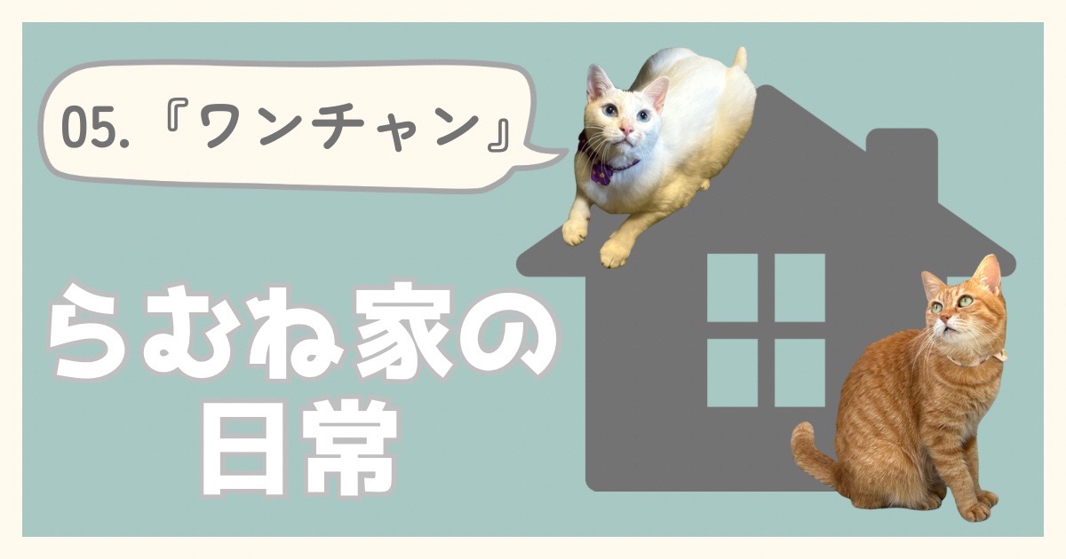 らむね家の日常05.「ワンチャン」