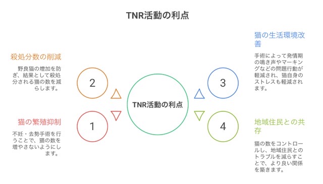 TNR活動の4つの利点：繁殖抑制、殺処分数の削減、猫の生活環境改善、地域住民との共存を図解した画像