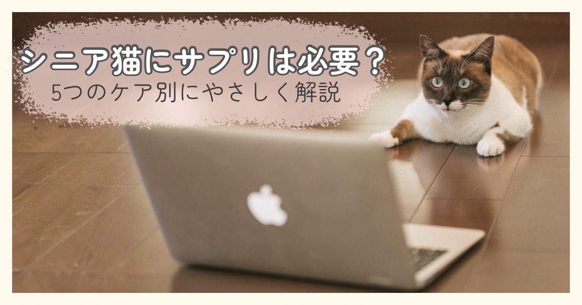 シニア猫のサプリの必要性とケア別成分を解説するイメージ画像