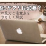 シニア猫にサプリは必要かどうかを考えているイメージの猫の画像