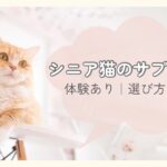 シニア猫のサプリ5選｜体験あり・選び方も解説