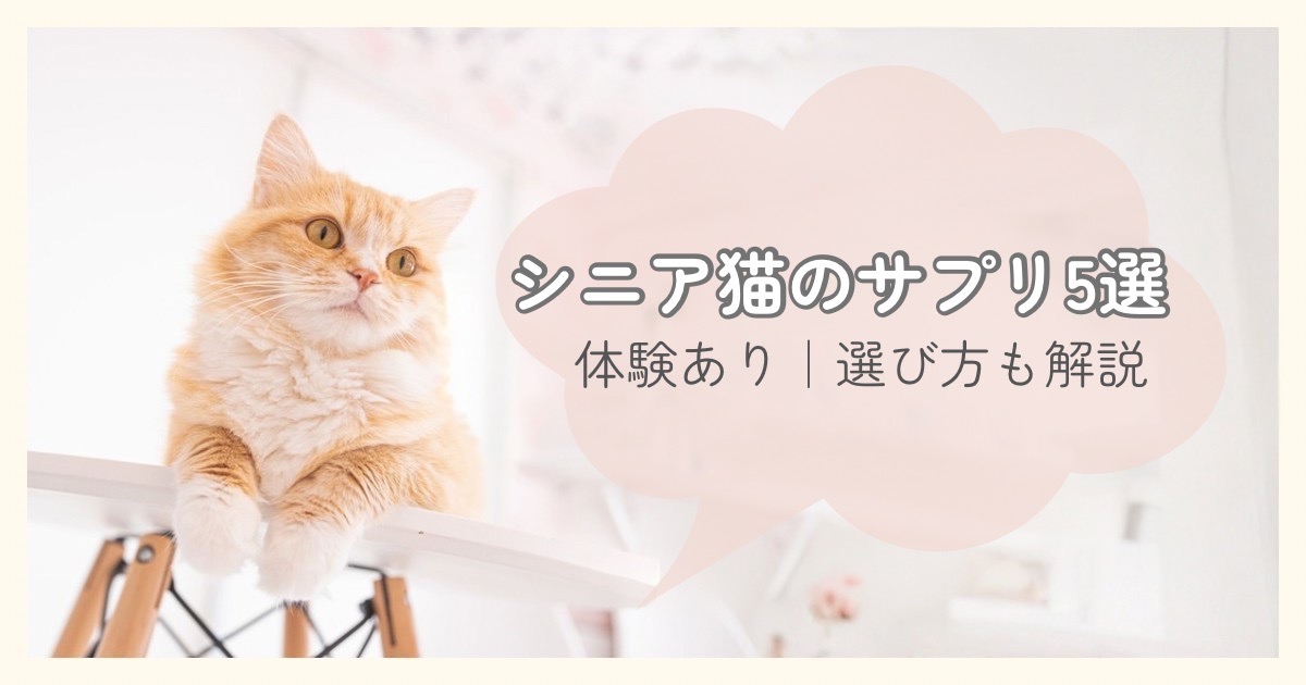 シニア猫のサプリ5選｜体験あり・選び方も解説