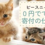 ピースニャンコの0円でできる寄付の仕組みを解説するイメージ