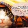 シニア猫の寒さ対策グッズおすすめ5選｜ブランケットに包まる猫のイメージ