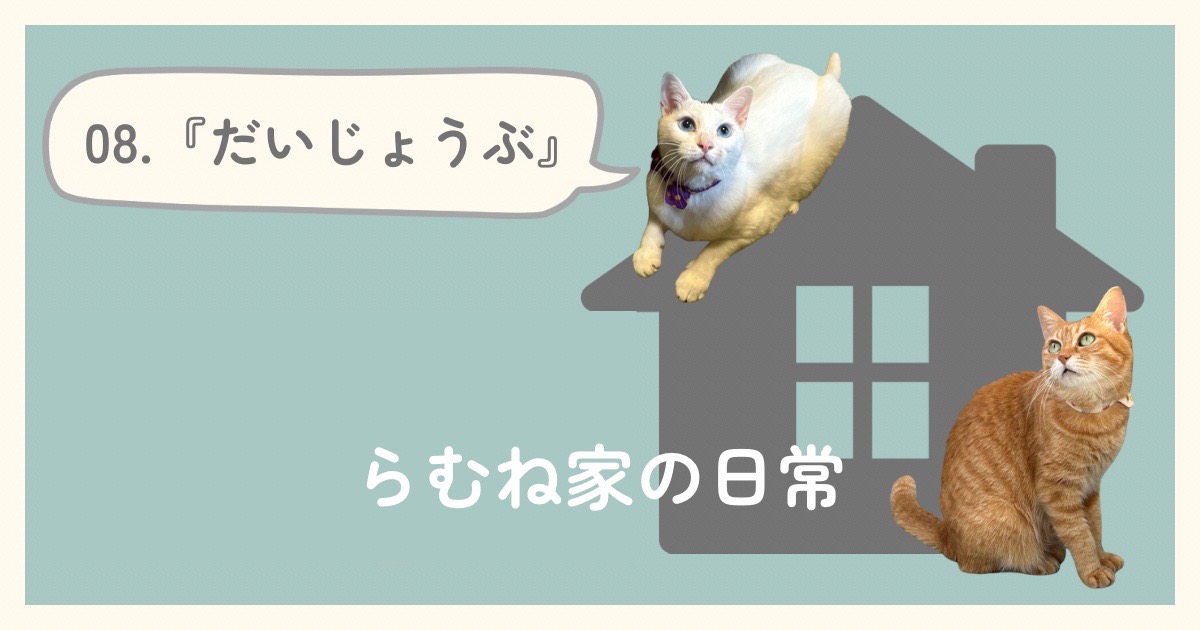 らむね家の日常08.「だいじょうぶ」