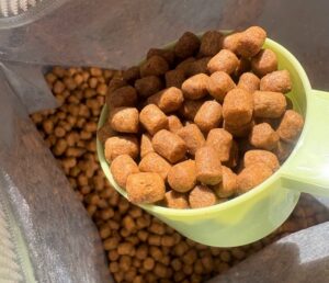 スクープですくったモグニャンの粒のアップ