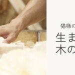 猫のために生まれた木の家具