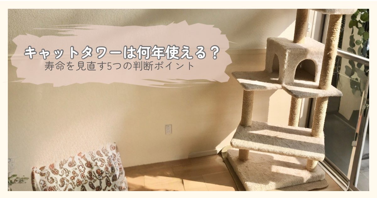 キャットタワーは何年使える？ 寿命を見直す5つの判断ポイント