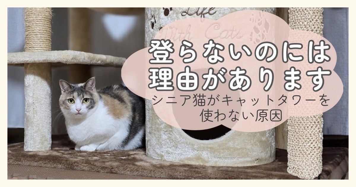 キャットタワーの前で座る猫と、シニア猫がキャットタワーを使わない原因を紹介するアイキャッチ画像
