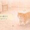 猫の近くに小さなうんちが落ちていて、あとから気づくシニア猫のイラスト
