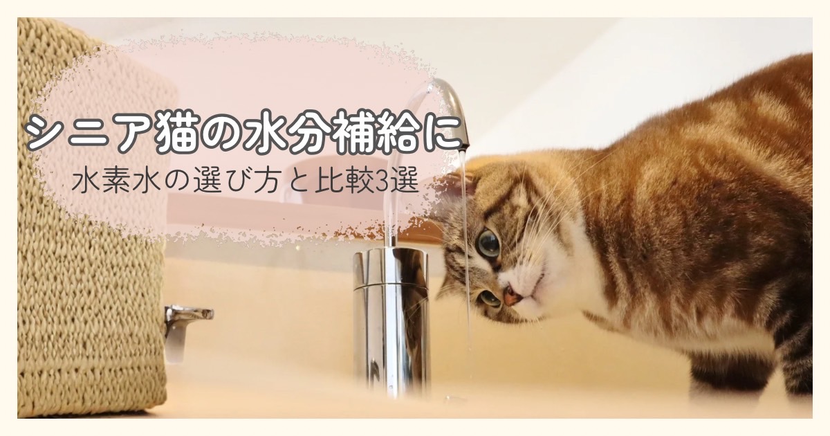 シニア猫の水分補給として考える水素水の選び方と3商品の比較