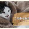 毛布にくるまり暖かく過ごすシニア猫の寒さ対策イメージ