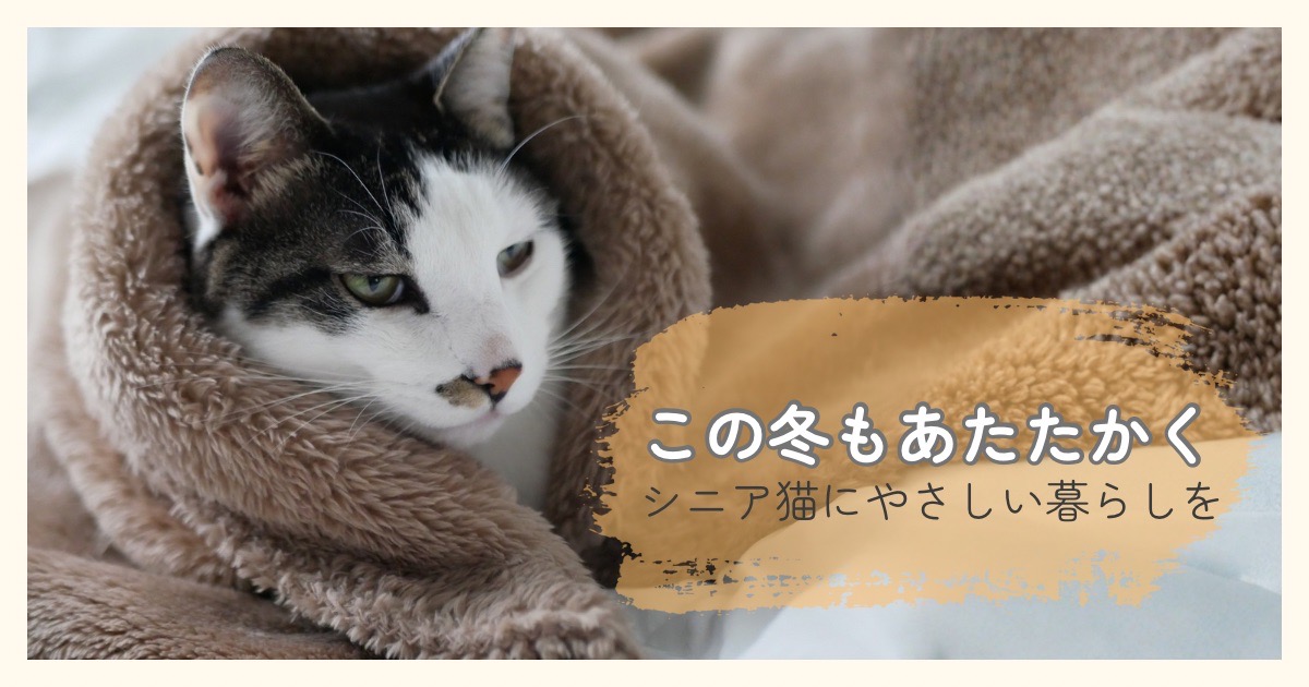 毛布にくるまり暖かく過ごすシニア猫の寒さ対策イメージ