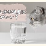 猫の飲み水の温度は何度がいい？