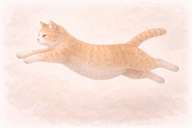 猫が体を伸ばしてジャンプしている様子