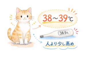 猫の平熱38〜39℃前後の目安を示した図