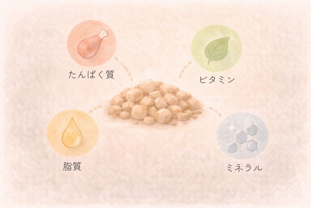 フリーズドライフードの周りに栄養バランスを示すアイコンが配置されたイラスト。加工方法と栄養設計の違いを表現