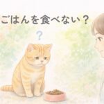 春にごはんを食べない猫を見守る飼い主