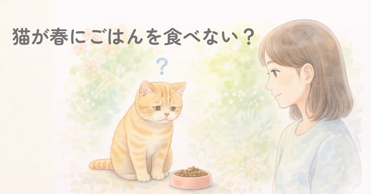 春にごはんを食べない猫を見守る飼い主