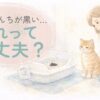 猫のうんちが黒いときに心配する飼い主のイメージイラスト