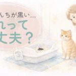 猫のうんちが黒いときに心配する飼い主のイメージイラスト