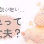 猫のお腹が熱いと感じている飼い主