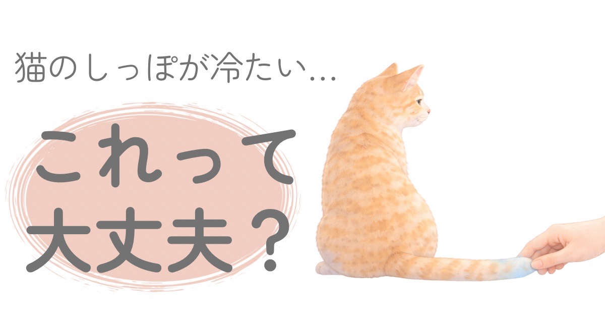 猫のしっぽが冷たい様子を確認しているイラスト