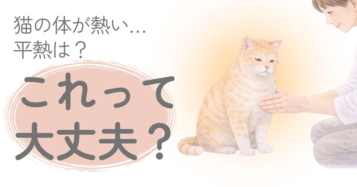 猫の体が熱いか確認している飼い主