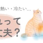 猫の体が熱い・冷たいときの温度変化を確認している様子
