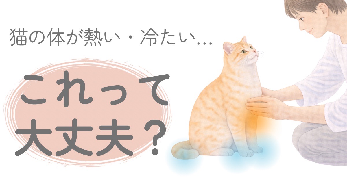 猫の体が熱い・冷たいときの温度変化を確認している様子