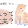 猫の体温が低いかも？と感じたときの様子