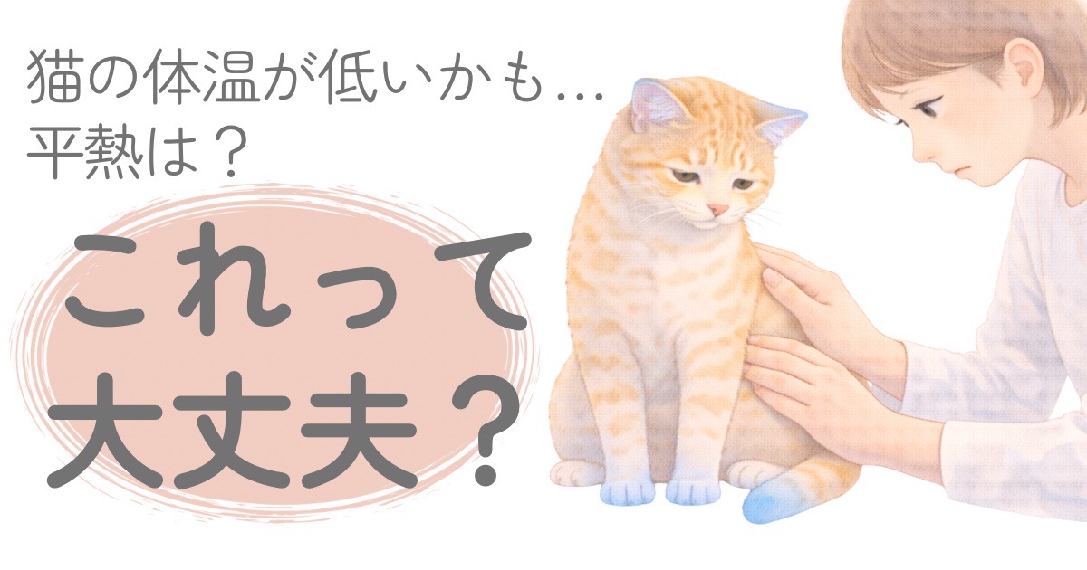 猫の体温が低いかも?と感じたときの様子