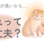 猫の体温が高いか確認するため体に触れて様子を見る飼い主
