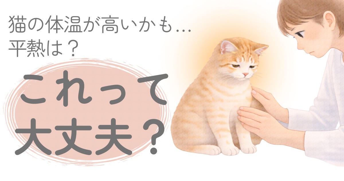 猫の体温が高いか確認するため体に触れて様子を見る飼い主