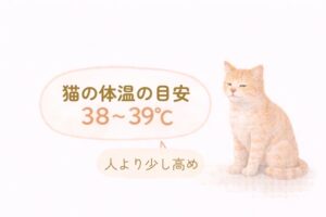 猫の正常体温38〜39℃の目安を示した図