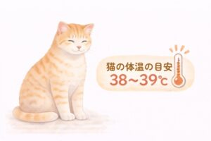 猫の正常体温の目安38〜39℃を示したシンプルな図