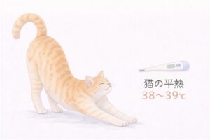 猫の平熱38〜39℃前後の目安を示した図