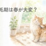 春の換毛期で抜け毛が増えた猫をブラッシングしている様子