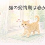 春に発情行動が目立つ猫をやさしく見守る飼い主
