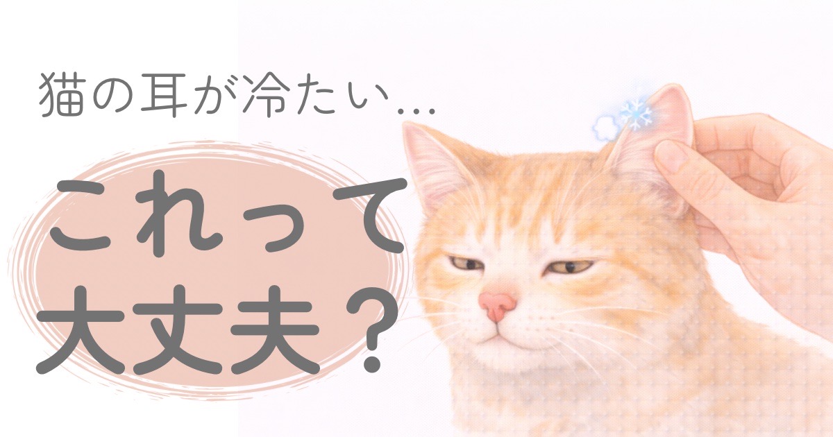 猫の耳を触って温度をチェックしている様子