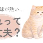 猫の肉球が熱いと感じたときのイメージイラスト