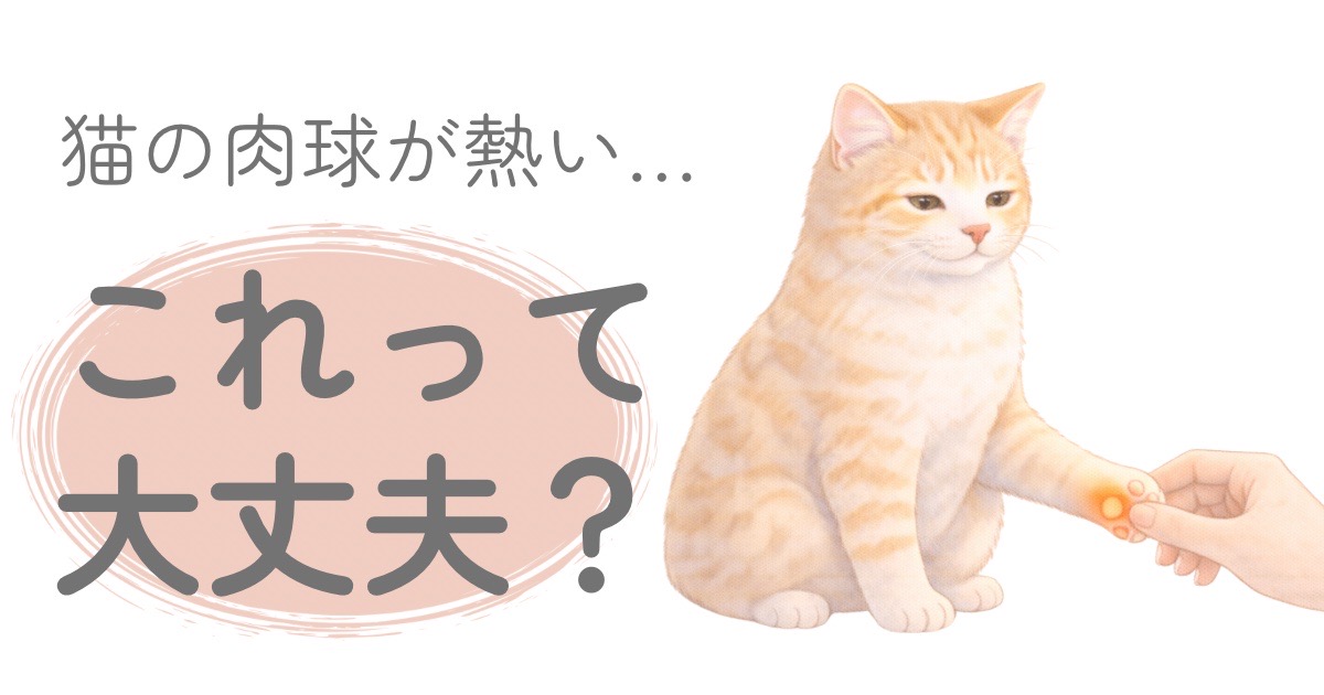 猫の肉球が熱いと感じたときのイメージイラスト