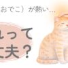 猫の頭やおでこが熱いか確認している飼い主