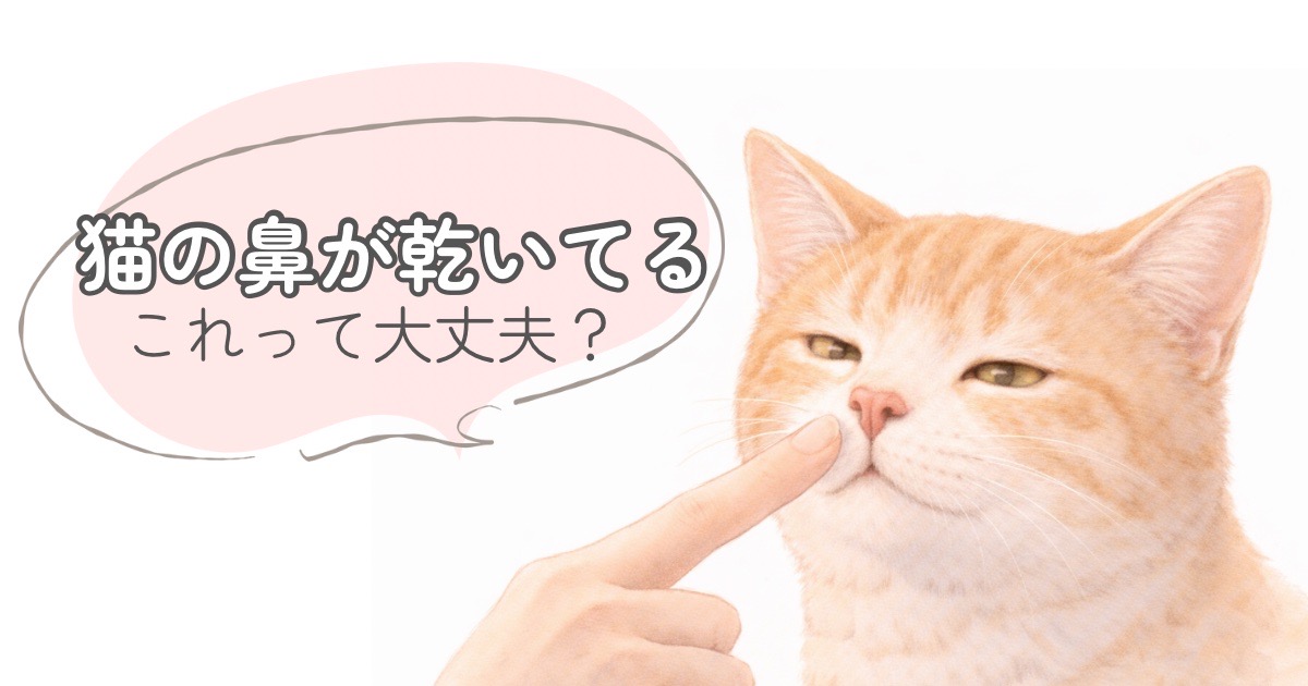 猫の鼻が乾いている様子を確認しているイラスト