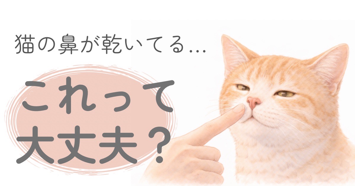 猫の鼻が乾いている様子を確認しているイラスト