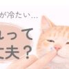 猫の鼻をやさしく触って温度を確認している飼い主の手のイラスト。