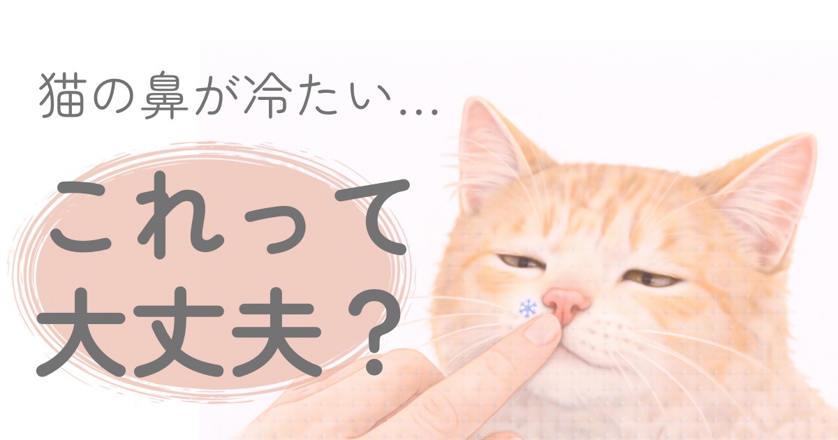 猫の鼻をやさしく触って温度を確認している飼い主の手のイラスト。