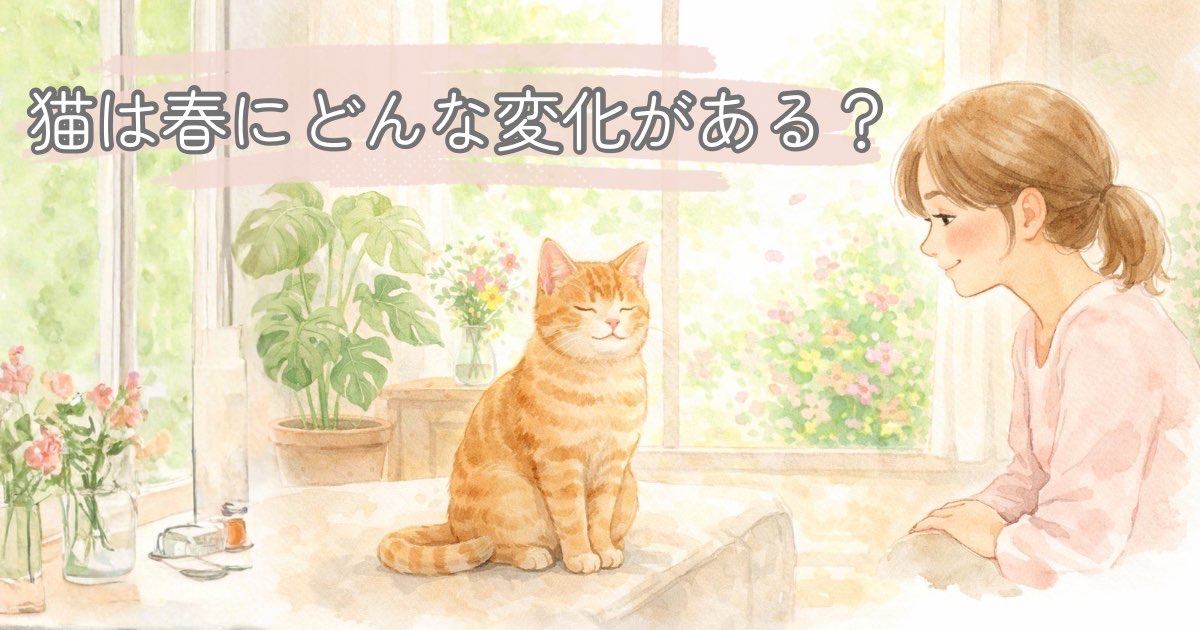 春の変化を感じる猫をやさしく見守る飼い主