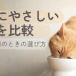 お腹にやさしい食事を比較｜軟便・便秘のときの選び方