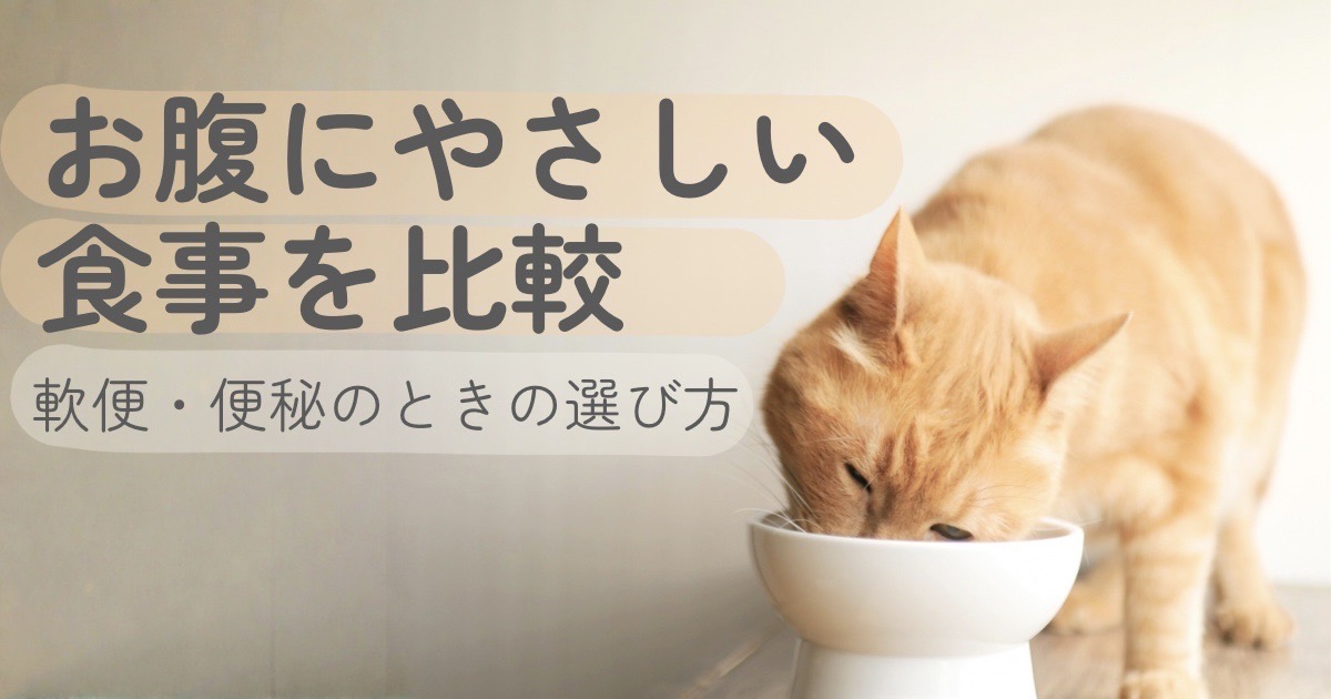お腹にやさしい食事を比較｜軟便・便秘のときの選び方